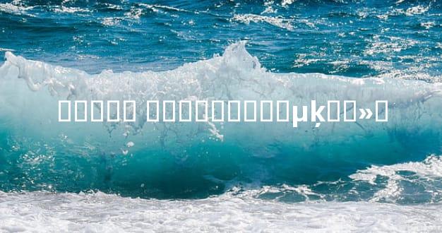 ����� ���ȣ�����µķ��»